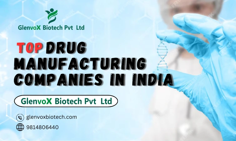 Top Drug Manufacturing Companies in India